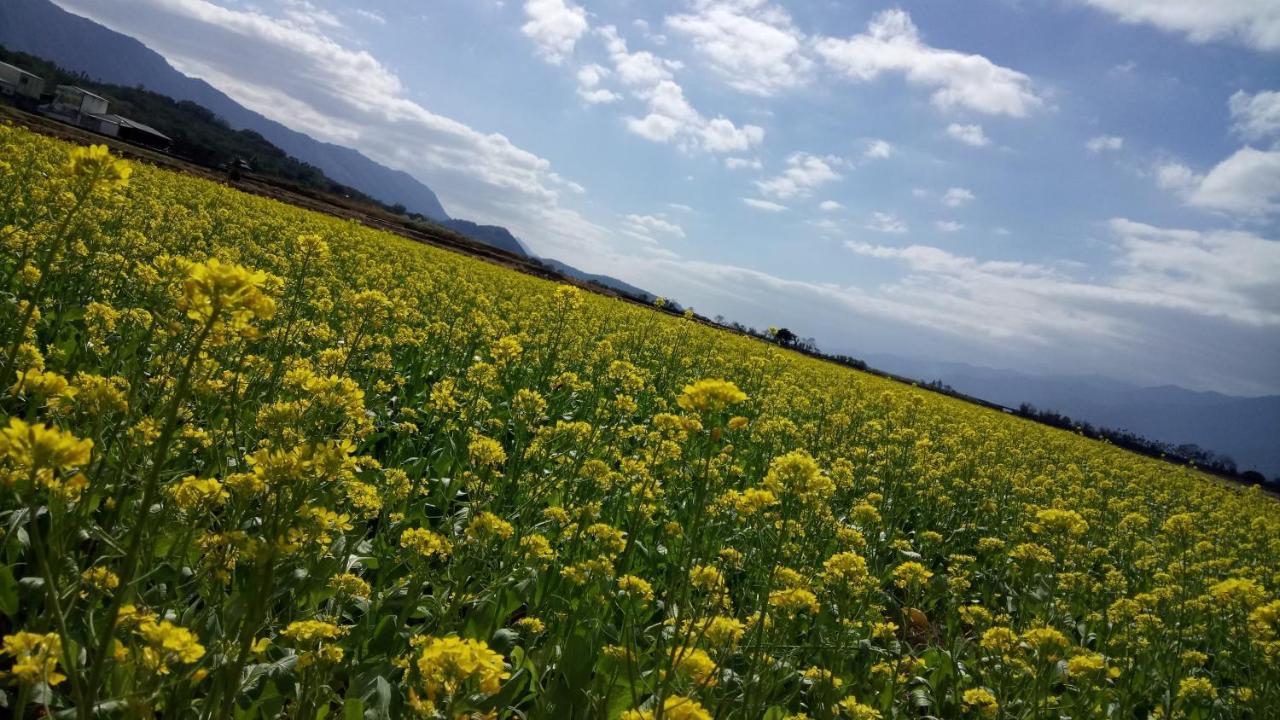 伯朗三号民宿 池上 外观 照片
